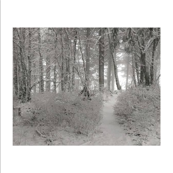 ShanRiLa Other - Snow Dusted Trail Winter 2020